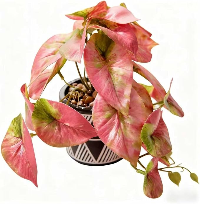 7" Artificial Red Caladium Plant