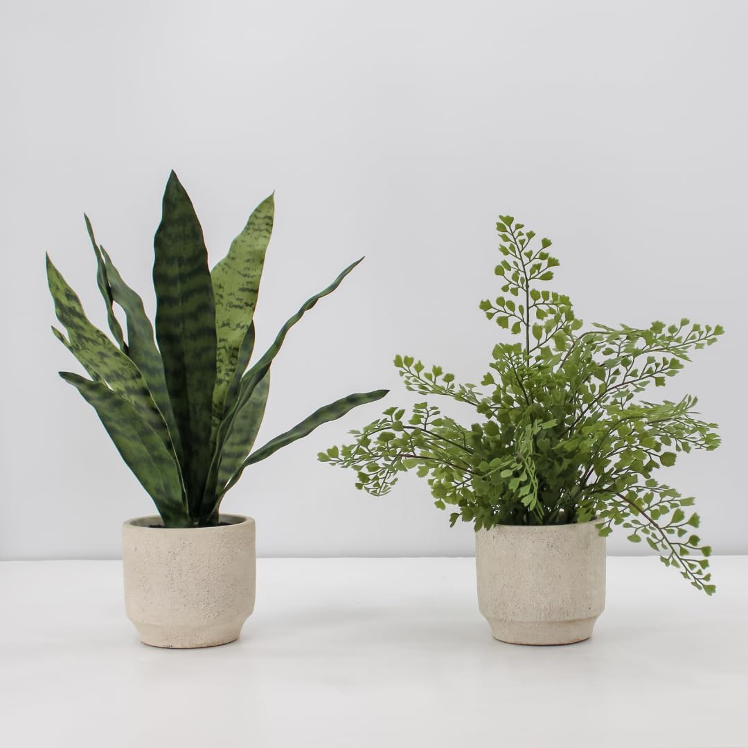 CG Hunter Faux Snake Plant & Fern