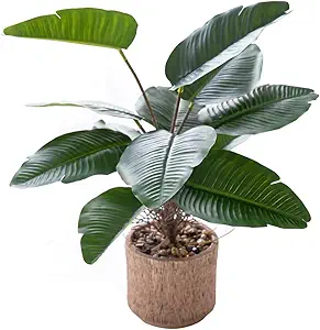 Artificial Banana Leaf Plant in Cement Pot