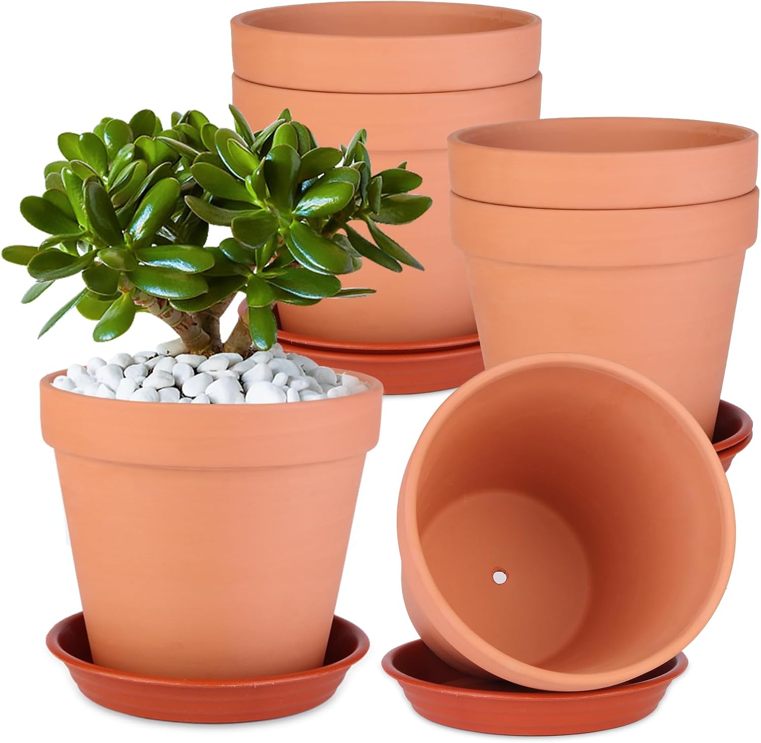 6 Pack 6 Inch Terracotta & Clay Pots with Saucer for Plants