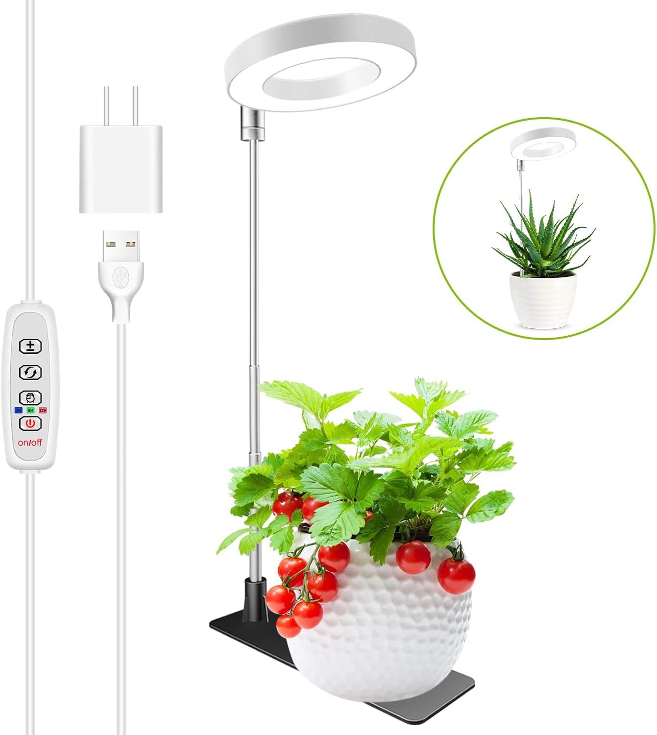 Grow Lights for Indoor Plants
