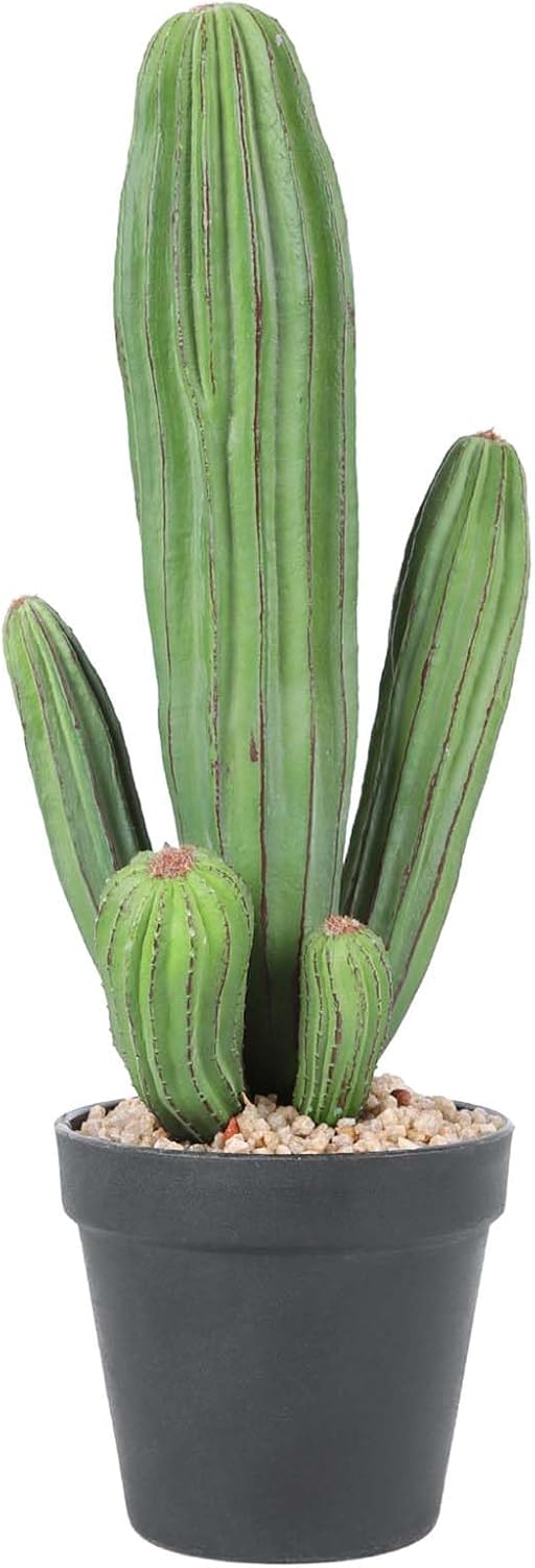 Artificial Cactus Fake Cacti