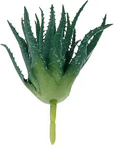 Coshar 1 Piece Fake Succulent Plant