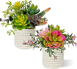 Set of 2 Fake Succulents Plants Artificial Small