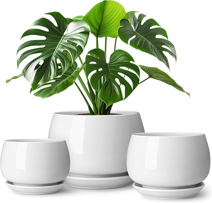 vancasso 3-Pack Ceramic Plant Pots