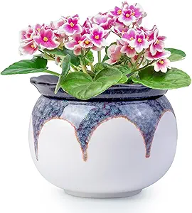 African Violet Pots