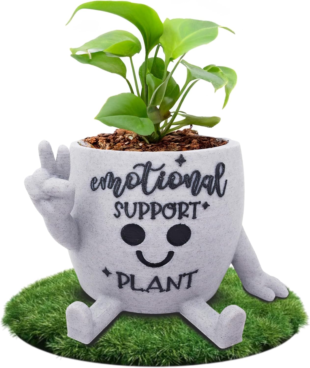 Funny Face Indoor Head Planter Pot