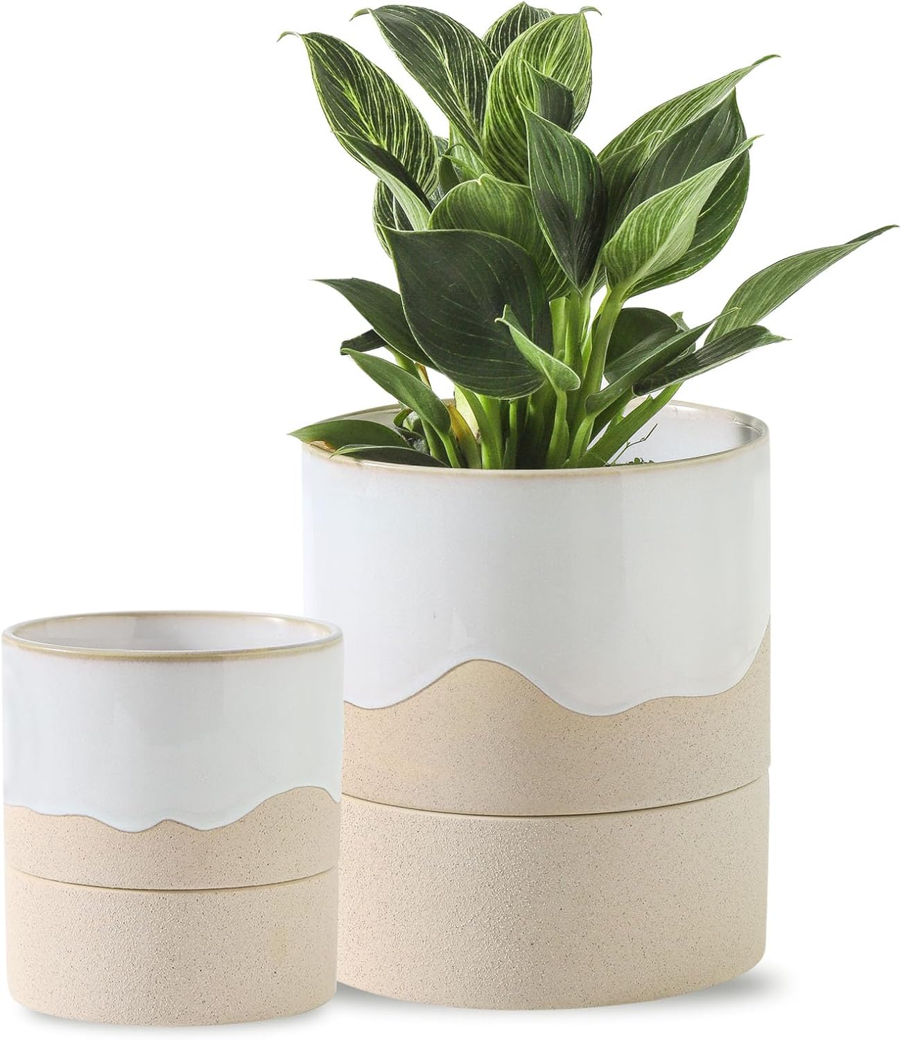 Nihow Self Watering Plant Pot