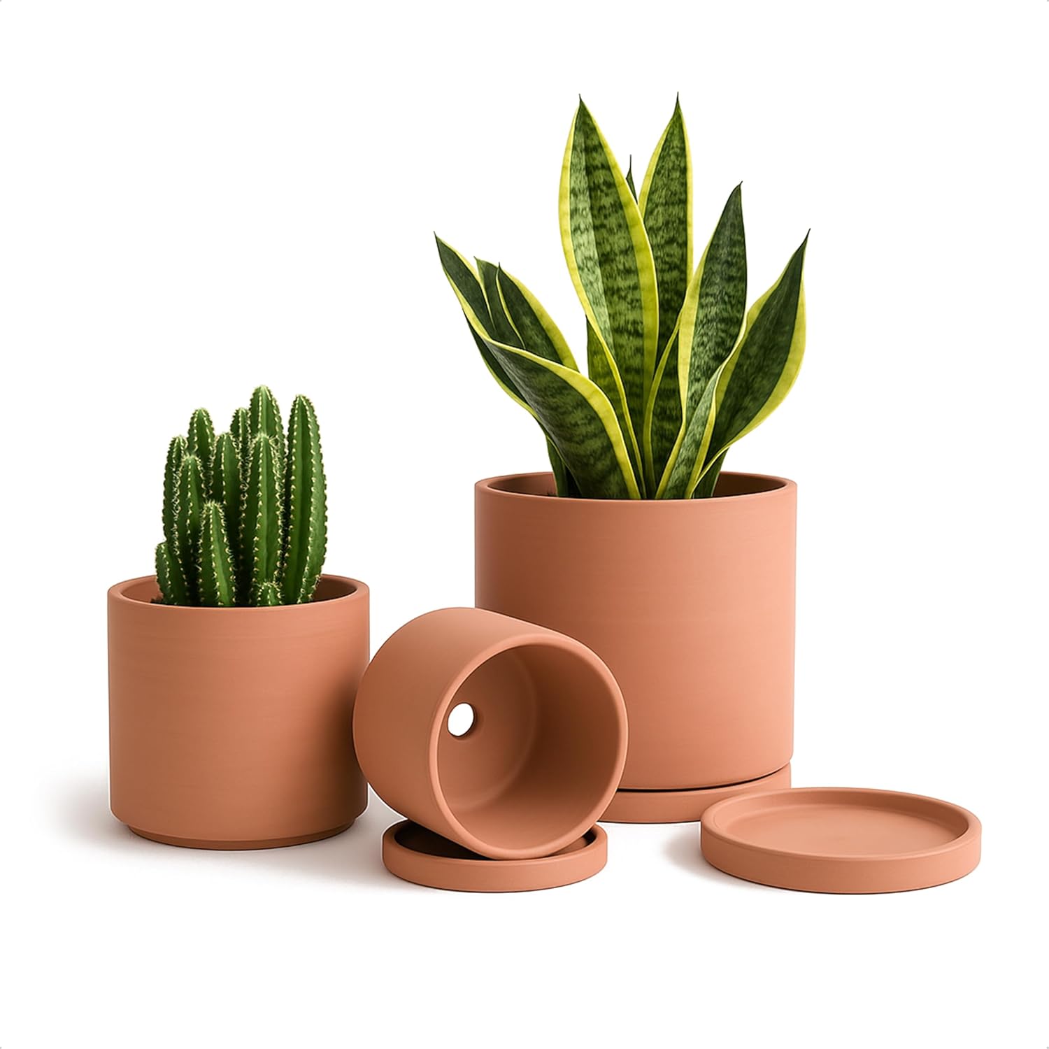 D'vine Dev Terracotta Pots for Plants