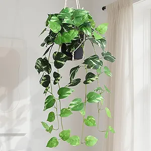 alyptus Fake Pothos Hanging Plants