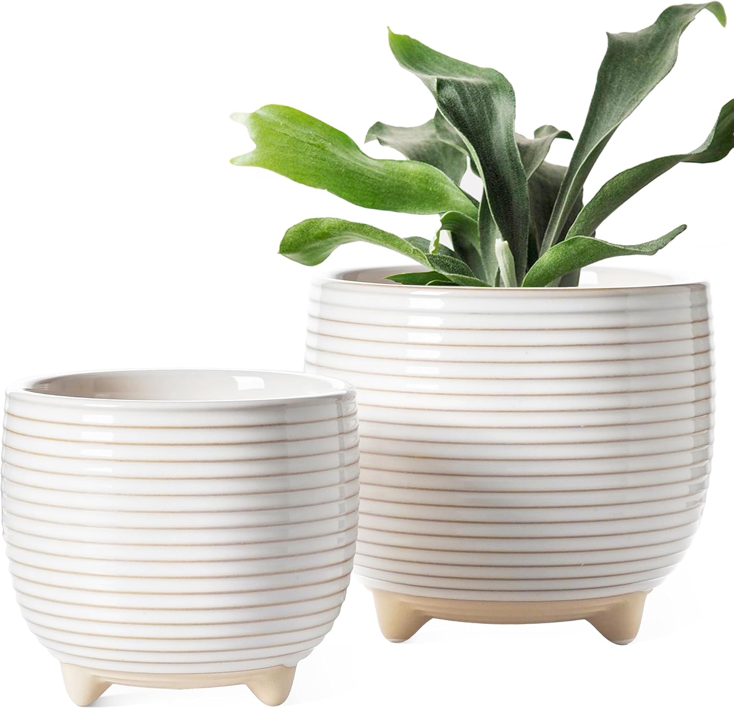 LE TAUCI Ceramic Plant Pots