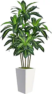 6FT Artificial Dracaena Tree