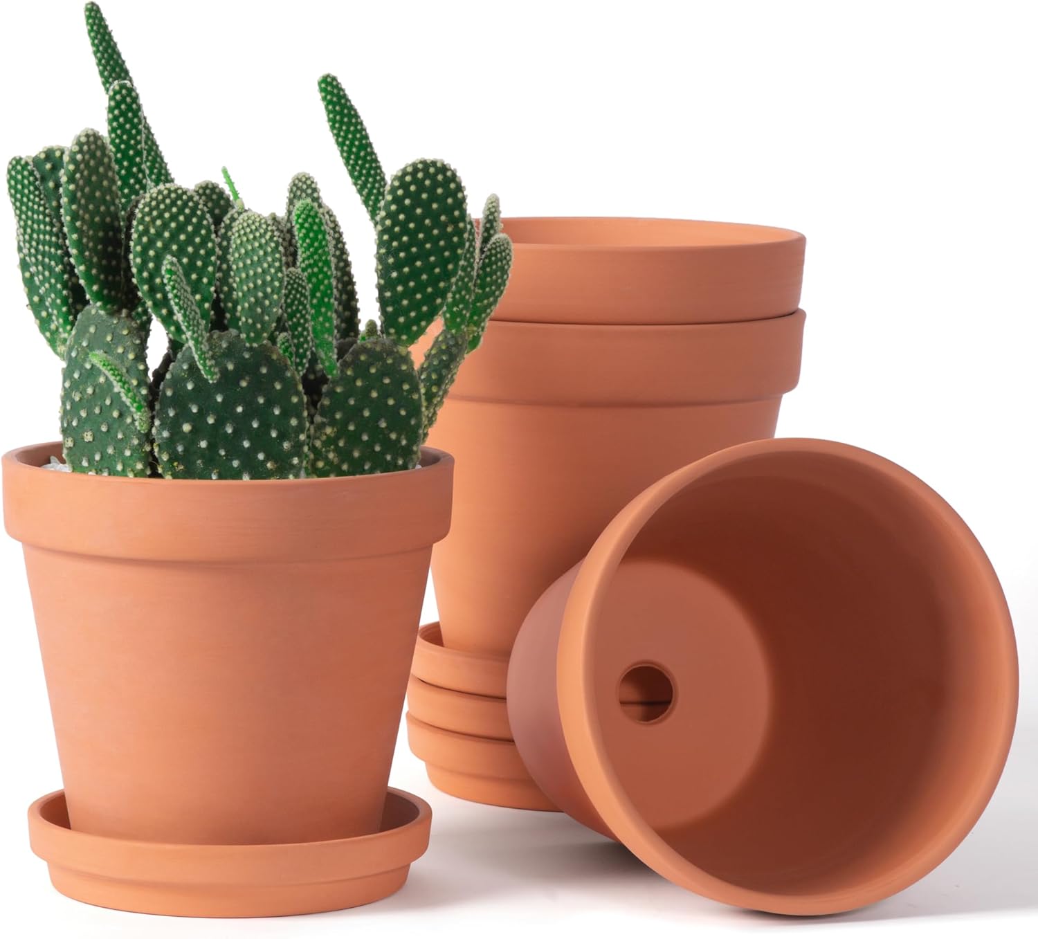 Orceler 6 inch Terracotta & Clay Pots for Plants with Saucer
