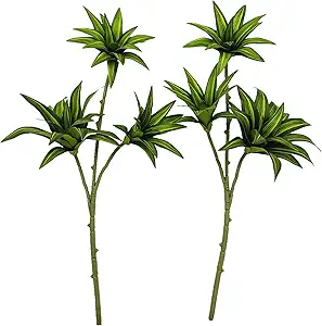 Fake Dracaena Reflexa Plant