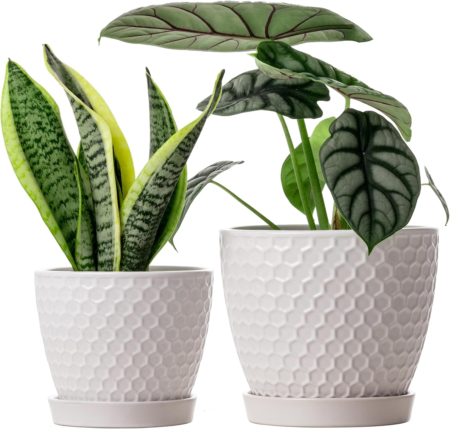 Docrin Ceramic Plant Pots Set of 2