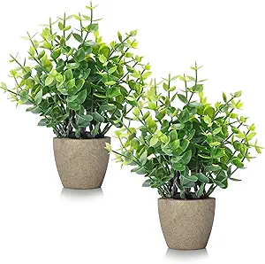 2 Pack Fake Plants Ceramic Mini