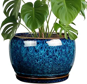 SQOWL 10 Inch Plant Pot