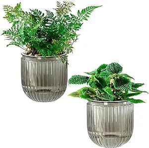 Melphoe Self Watering Pots for Indoor Plants Planter,