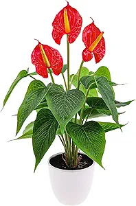 Folmywy Artificial Flower Plants Anthurium