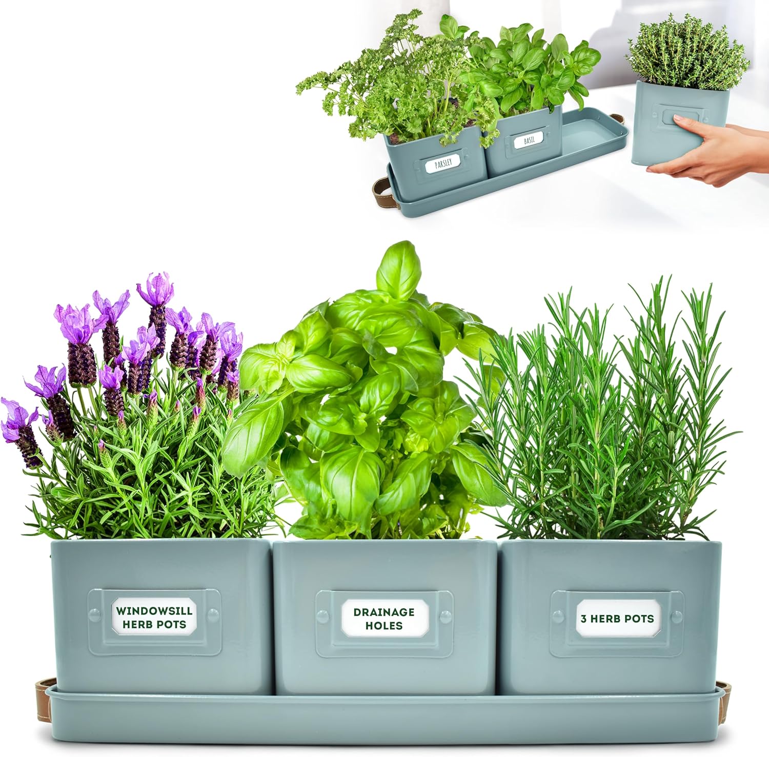 volila Herb Planter Indoor
