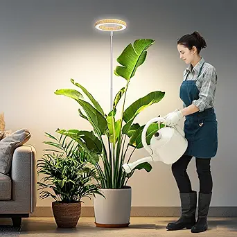 Grow Lights for Indoor Plants