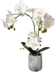 White Fake Orchids Flowers in Pot