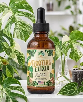 Houseplant Prop Drops