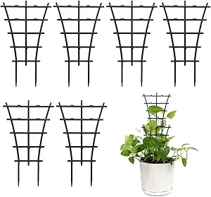 Indoor Plant Trellis Set