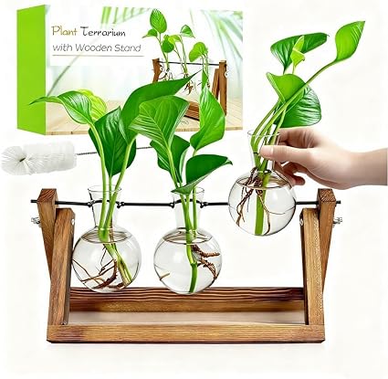 Plant Propagation Station