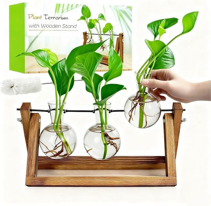 Plant Propagation Stations with Wooden Stand