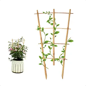 Bamboo Plant Trellis Set