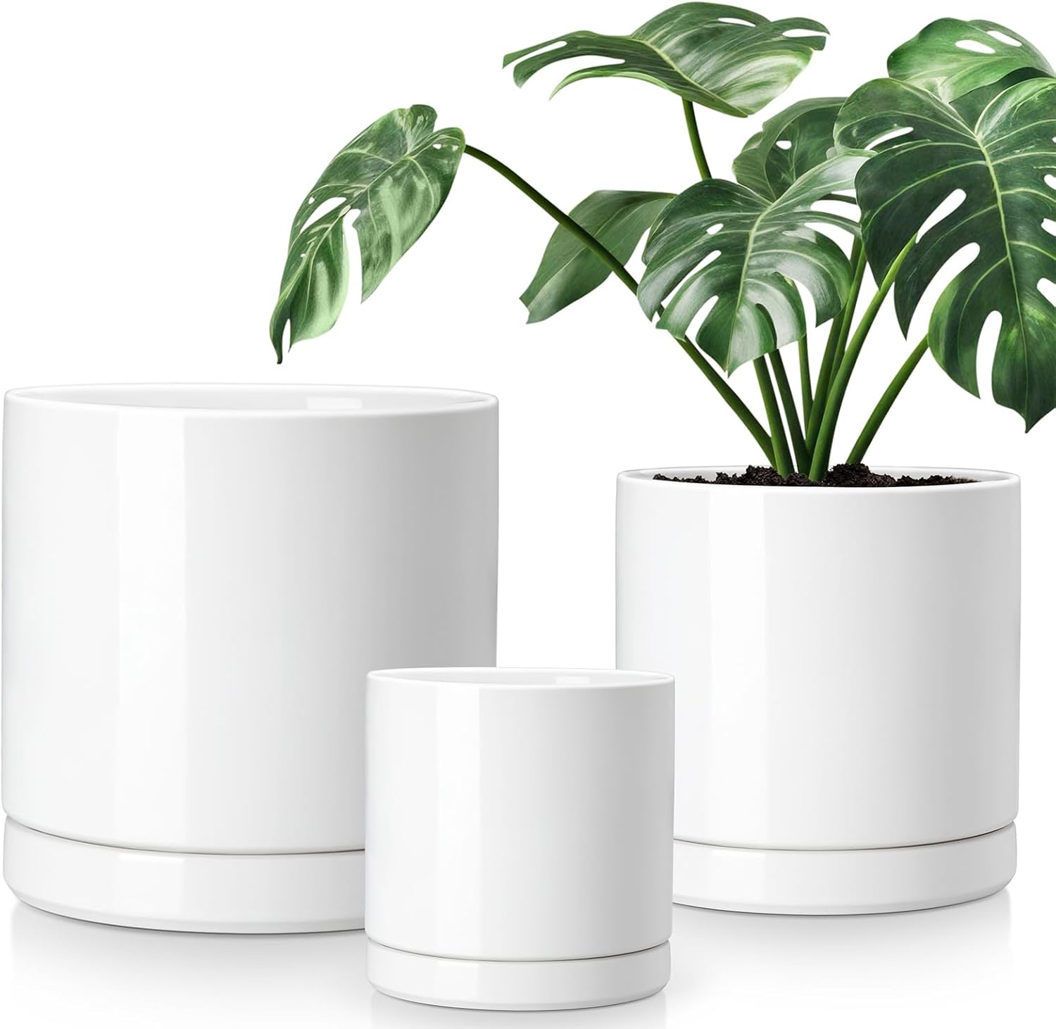 vancasso Ceramic Planters