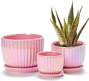 Pink Ceramic Plant Pot Set