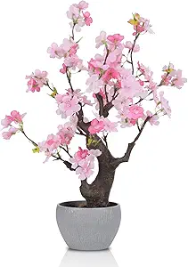 Pink Cherry Blossom Decor