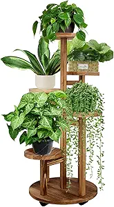 Tall Wooden Plant Stand