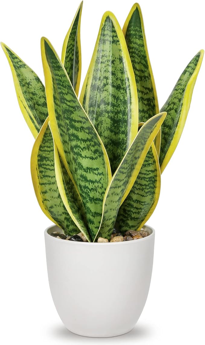 Hollyone Artificial Snake Plant
