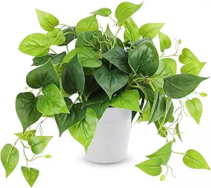 Artificial Pothos Plant Decor