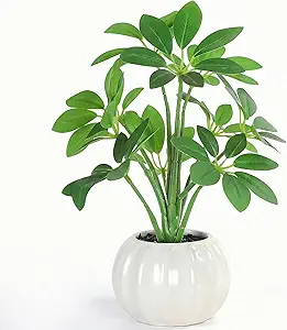 Fake Indoor Green Plant