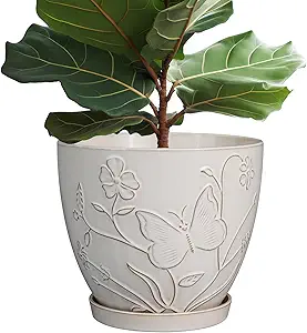 Ceramic Plant Pot White