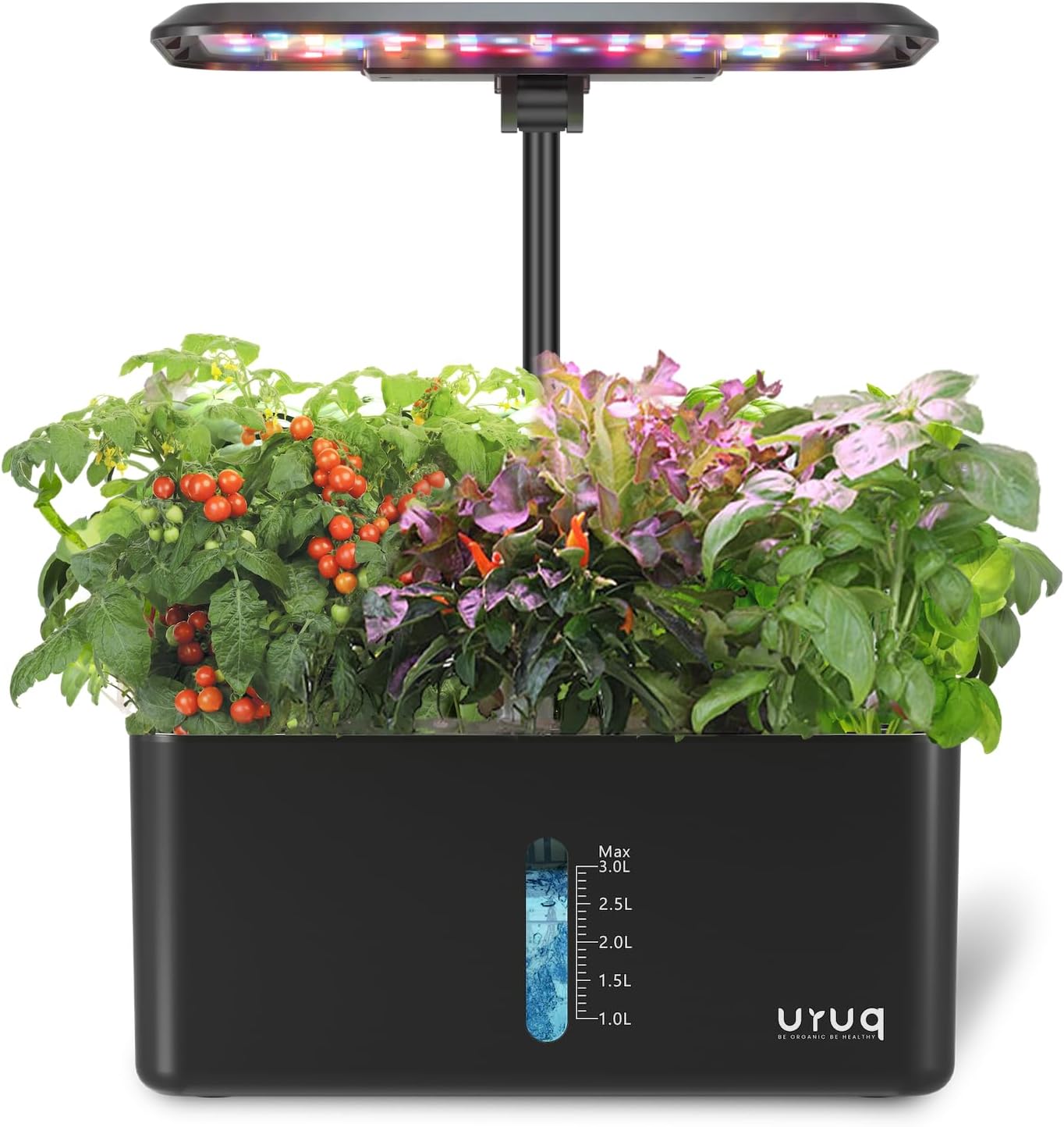 Hydroponics Growing System Garden