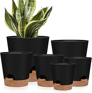 Indoor Self Watering Planters