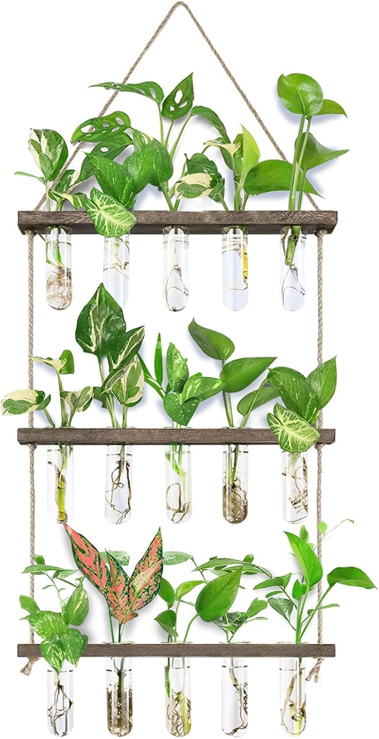 XXXFLOWER Wall Hanging Propagation
