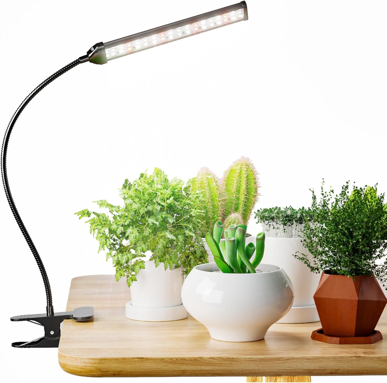 GooingTop Grow Light for Indoor Plants Growing