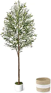 Artificial Pothos Vine Set