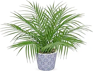Artificial Palm Potted Plant