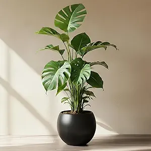 Fiberstone Round Black Planter