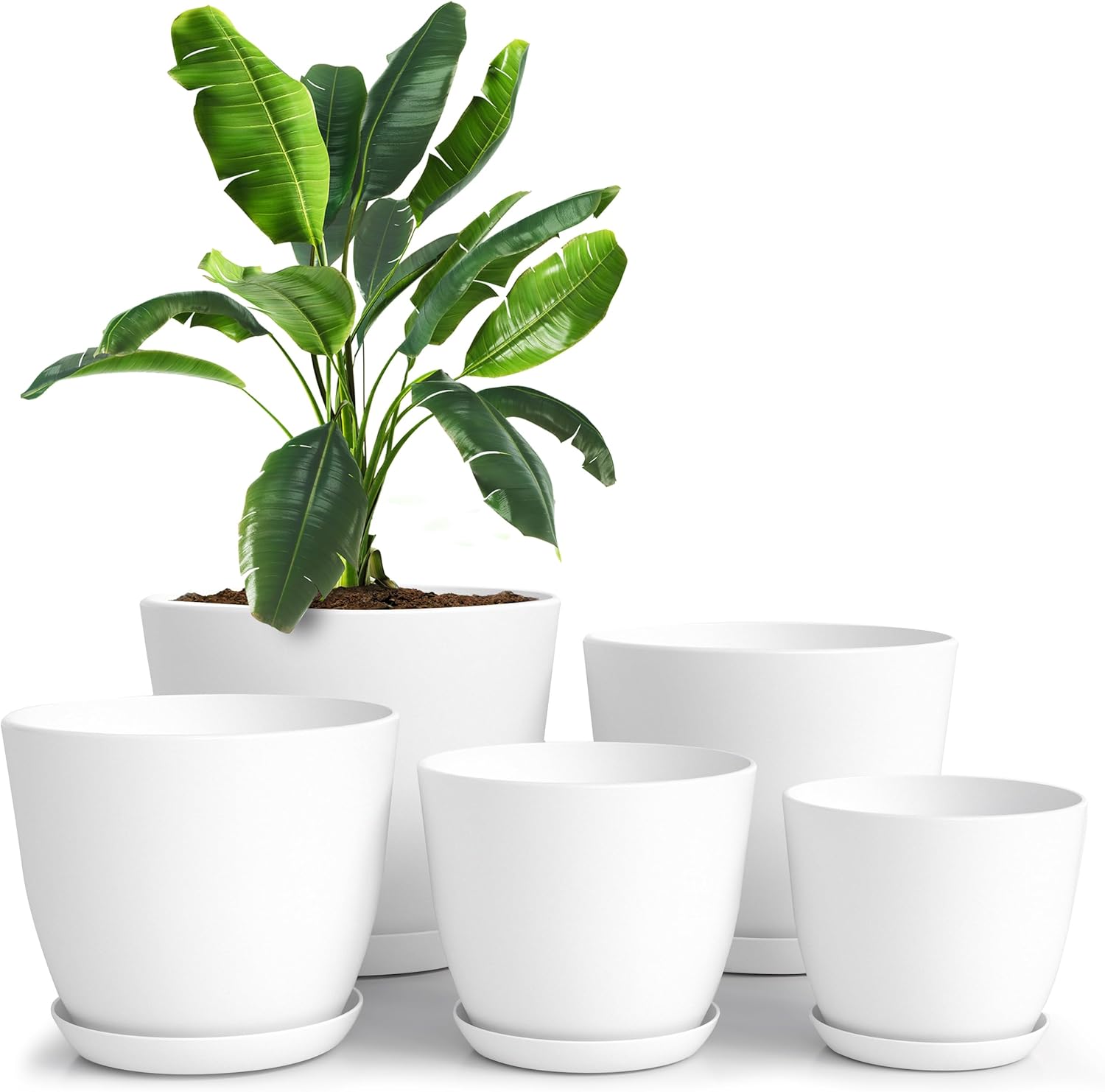 Utopia Home Plant Pots Indoor