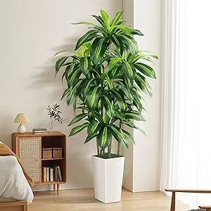 Artificial Dracaena Floor Tree