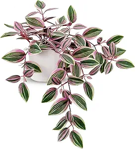 Artificial Pink Ivy Plant