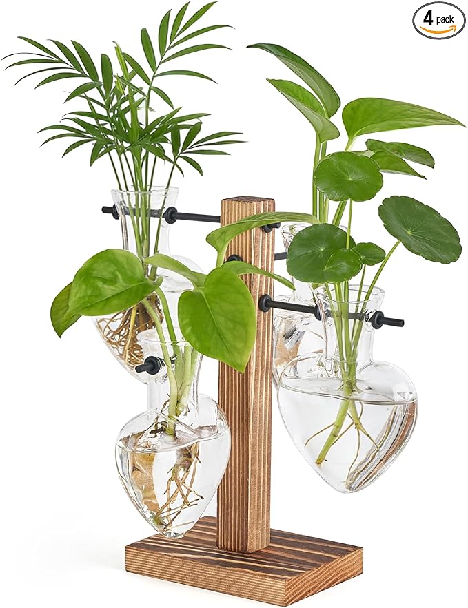 Heart Shaped Propagation Vase